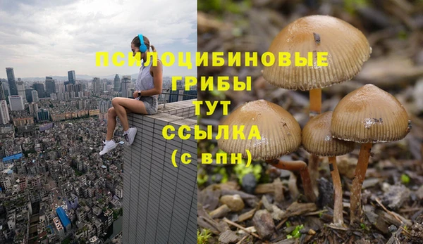 винт Алзамай