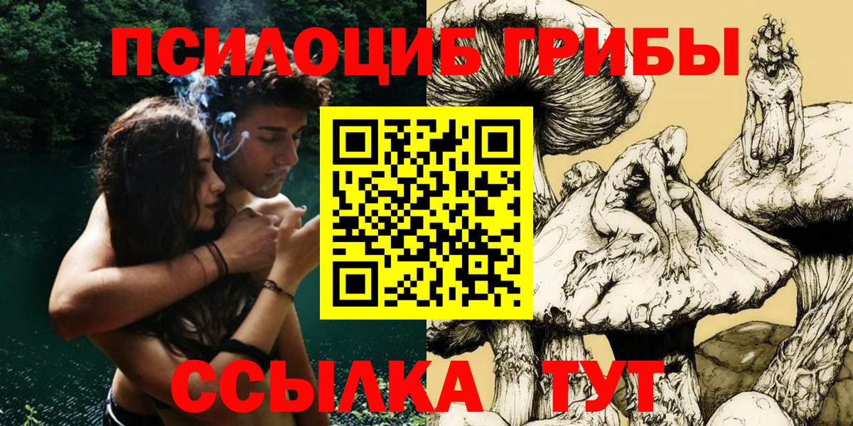 Галлюциногенные грибы Psilocybe Узловая